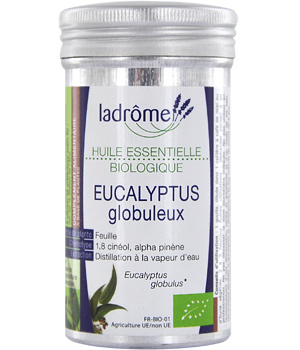 Nouveau Eucalyptus Globuleux Bio Ladrome
