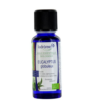 Nouveau Eucalyptus Globuleux Bio Ladrome