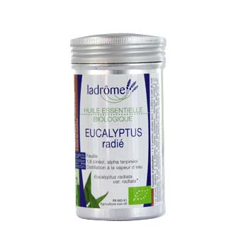 Nouveau Eucalyptus radi�?© Bio Ladrome