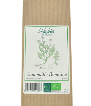 Roman Chamomile