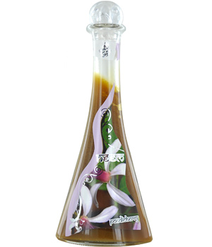 Richesses Du Monde Huile de Neem bio de Pondichéry 100ml