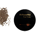 Ombre � Paupi�res Solo N�4 Brun Glac� Gris Clair Dr.hauschka