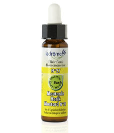 Ladrome ELIXIR Moutarde n°27 Mustard n°21 10ml