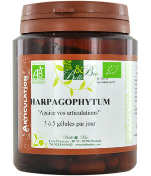 Harpagophytum Bio Articulations 200 g�lules Belle et bio