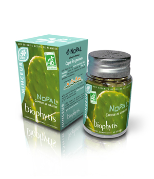 Nopal fat collector 60