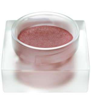 Sante Gloss à lèvres n°05 Cassis nacré 3ml
