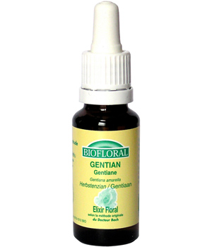 Elixir  Gentian n� 12 Gentiane Biofloral Biofloral