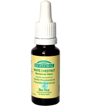 Elixir White Chesnut n� 35 Marronnier blanc Biofloral Biofloral