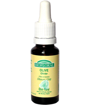 Remedy No.23 Olive