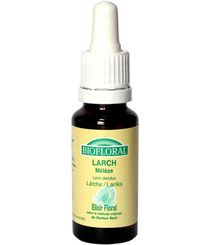Remedy No.19 Larch