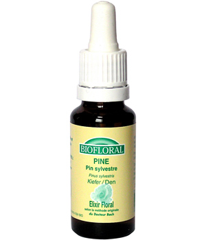 Elixir Pine n� 24 Pin sylvestre Biofloral Biofloral