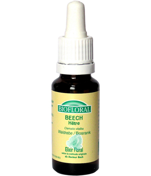 Elixir Beech n� 3 H�tre Biofloral Biofloral