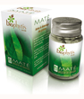 Mat� Sud Du Br�sil Br�leur De Graisses 40 Biophytis