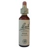 Pine N°24 Flacon compte gouttes Bach Flower Remedies