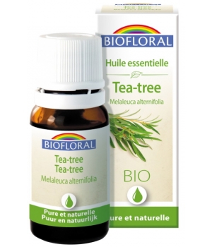 Arbre à thé Biofloral