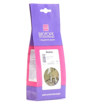 Bouleau feuilles Biotope Des Montagnes