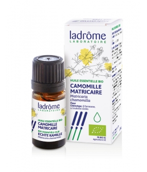 Camomille Matricaire Ladrome