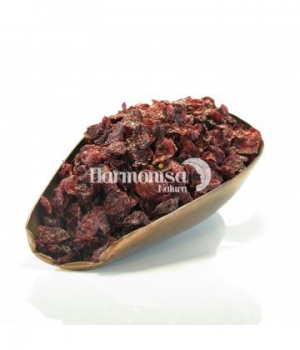 Canneberge fruit Cranberry Herboristerie De Paris