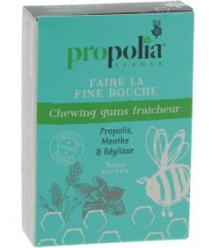 Chewing Gum Propolis, Menthe et Réglisse Boîte de 27 Propolia