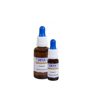 Elixir Floral Pissenlit Deva Laboratoire