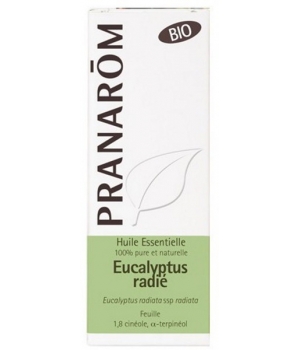 Eucalyptus radié Bio Flacon compte gouttes Pranarôm