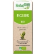 Figuier bio Flacon compte gouttes Herbalgem Gemmobase
