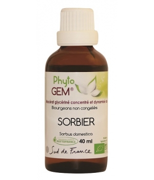 Gemmo Sorbier Phytofrance