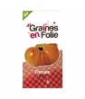 Graines de Tomate Graines En Folie