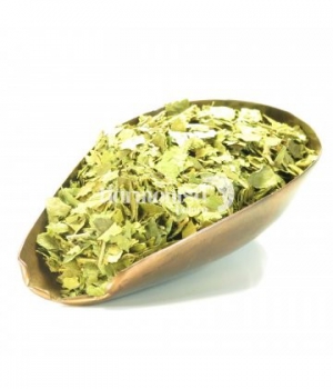 Gymnema Sylvestre feuille tisane Herboristerie De Paris
