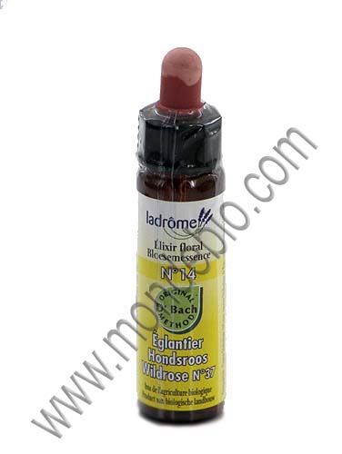 ELIXIR Églantier n°14 Wildrose n°37 10ml
