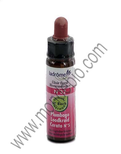 ELIXIR Plumbago n�32 Cerato n�5 Ladrome Ladrome