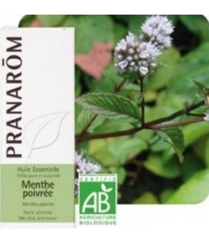 Menthe poivrée Bio Flacon compte gouttes Pranarôm