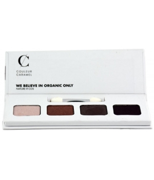 Palette regard sublime tons froids Couleur Caramel