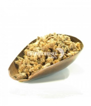 Pin Sylvestre tisane Herboristerie De Paris
