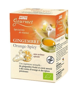 Tisane Gourmet Gingembre Orange spicy Bio 15 Salus