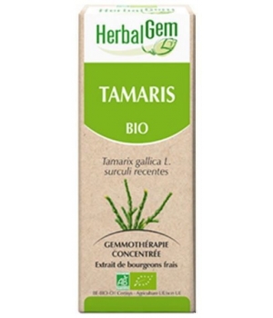 Tamaris bio Flacon compte gouttes Herbalgem Gemmobase