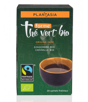 Thé vert Forme Gingembre Cannelle 20 sachets Plant Asia
