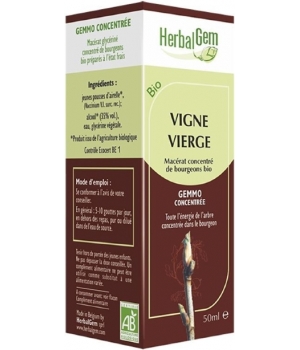 Vigne vierge bio Flacon compte gouttes Herbalgem Gemmobase