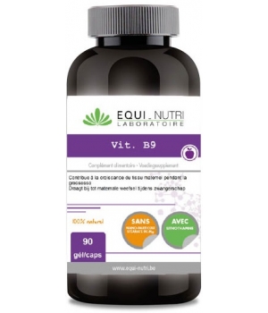 Vitamine B9 acide folique 90 gélules equi Equi - Nutri