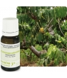 Ylang Ylang Extra Flacon compte gouttes Pranar 