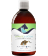 Santé Catalyons Animalyon Vitalité et Détox 500ml