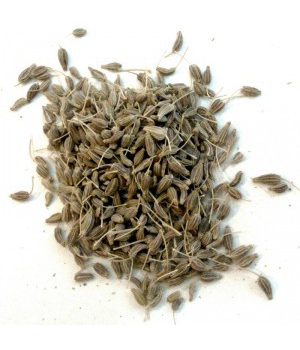 Herboristerie De Paris Anis Vert Bio 100gr