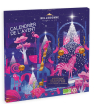 Cosmétique Bio Belledonne Chocolatier Calendrier de l'avent adulte 130g