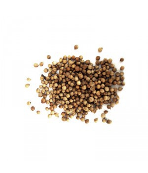 Herboristerie De Paris CORIANDRE SEMENCE Bio 100gr