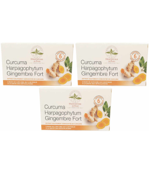 Herboristerie De Paris Curcuma Harpagophytum gingembre fort modèle cure de 3 x 60 comprimés