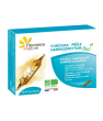 Produits bio santé, bien être Fleurance Nature Curcuma Harpagophytum Prêle Bio 10 ampoules