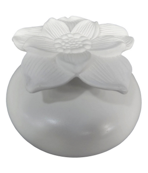 Zen Arome Diffuseur par Capillarité Narcisse Blanc