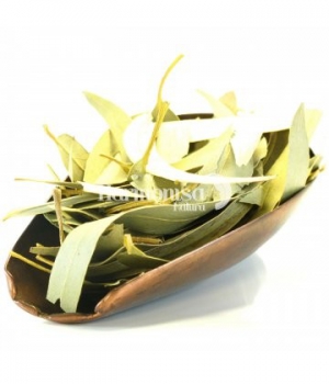 Herboristerie De Paris Eucalyptus feuilles entières QR 100gr