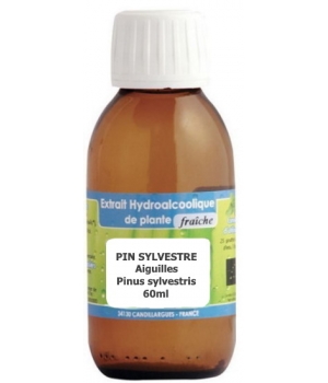 Phytofrance Extrait hydro alcoolique Pin sylvestre aiguilles 60ml