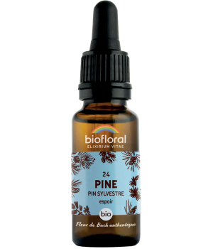 Biofloral Fleur De Bach Elixir Pine n°24 Pin sylvestre 20ml